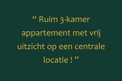 Foto met quote presentatie woning.jpg